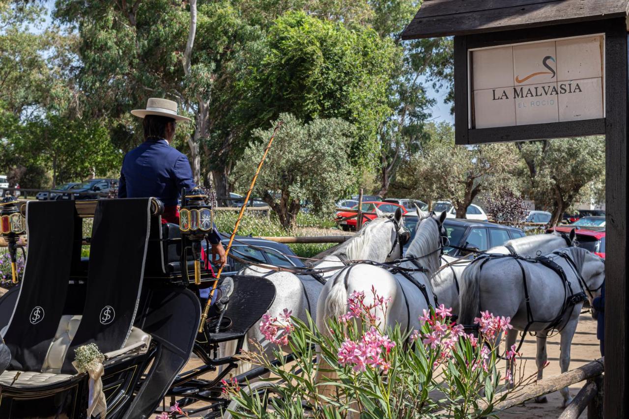 Hotel La Malvasia El Rocío Dış mekan fotoğraf